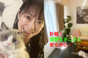 【訃報】自死ではない！遠野なぎこさん死去！愛猫を残し享年45歳という若さで旅立つ！