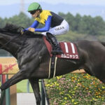 川田騎手、重賞3連勝達成！カムニャックに敵なし！成績を振り返る