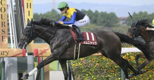 川田騎手、重賞3連勝達成！カムニャックに敵なし！成績を振り返る