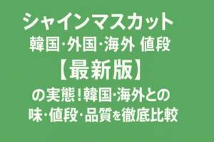 シャインマスカット中国産と韓国産を比較!海外流出でどう変わった?味・糖度・値段の真実