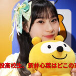 【MORE STAR】新井心菜は都内高校？出身校は非公表？現役高校生の実態！