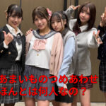 あまいものつめあわせは本当は何人？公式とネットで人数が違う理由